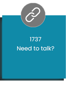 1737 link icon